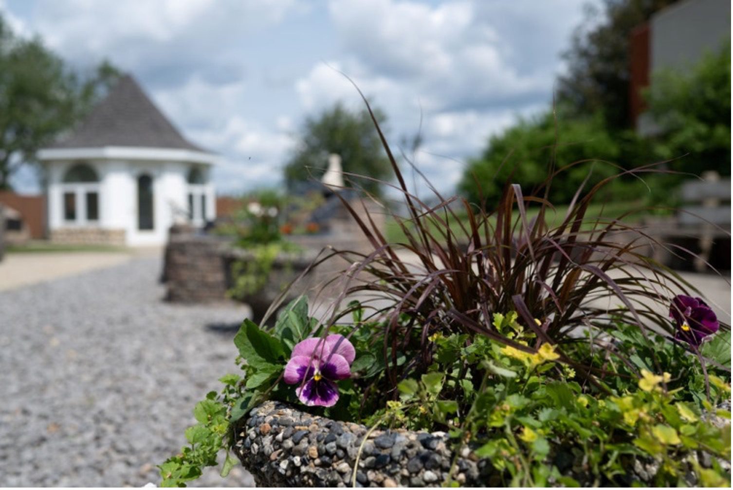 SommersGarden4